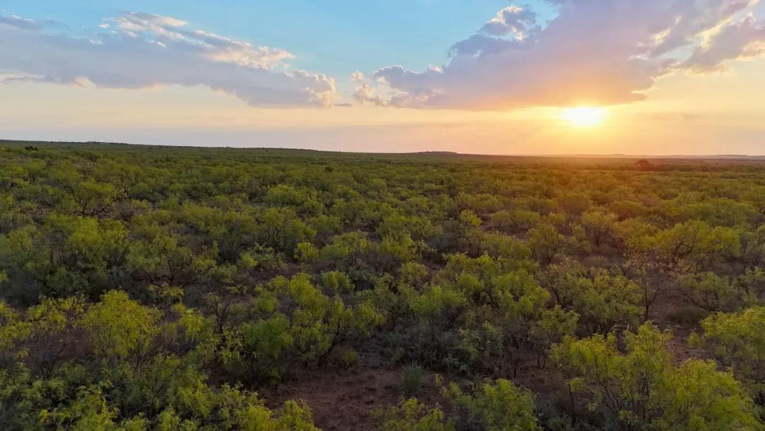 81.65± Acres Dickens County