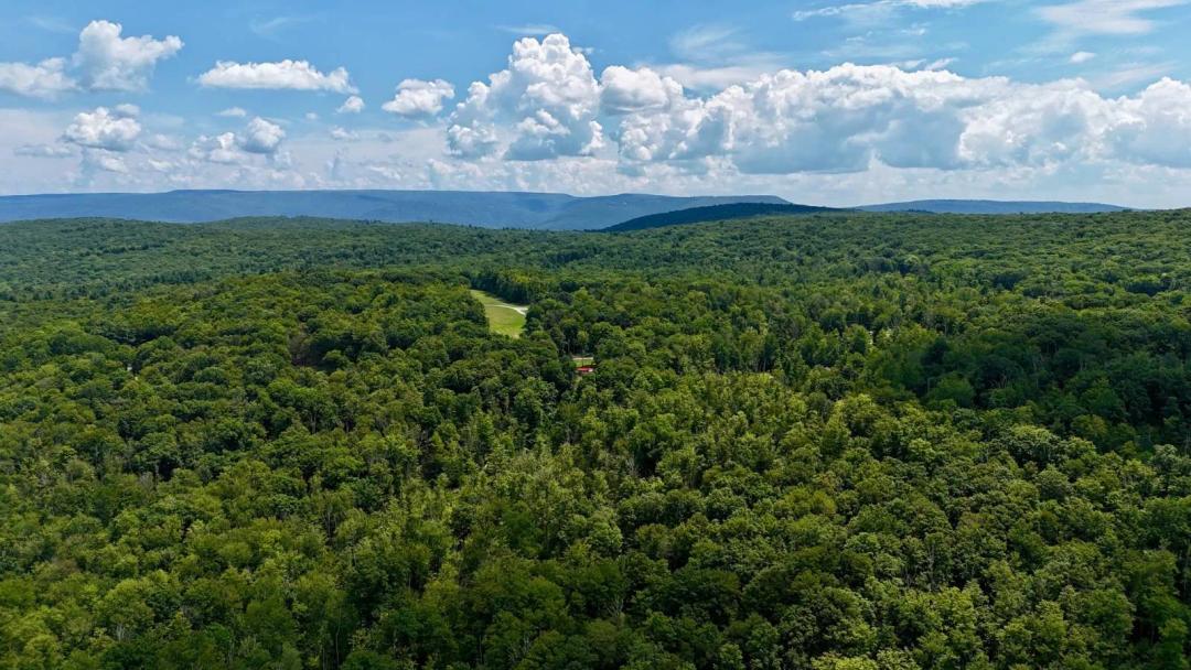 41.5 Acres Ulster County Hunting Land &amp; Building Potential