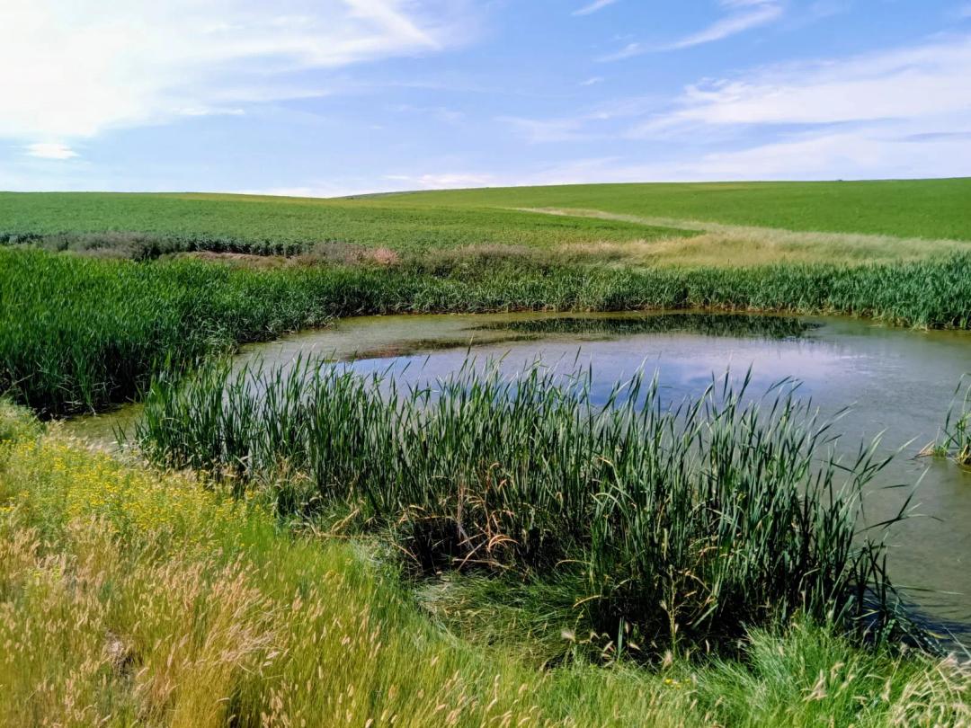 Round Bale Ranch