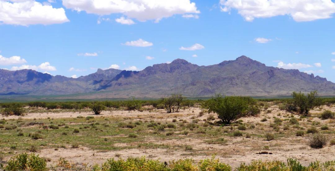 4 adjoining lots Between Deming and Columbus New Mexico