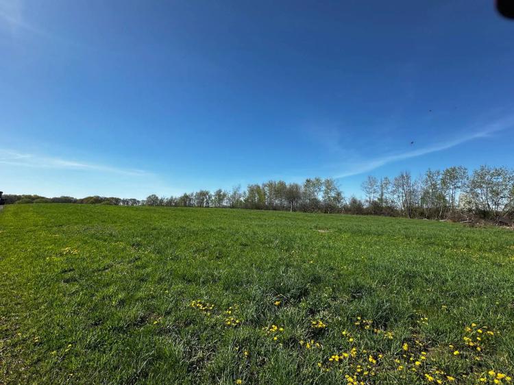 Farmland for Lease
