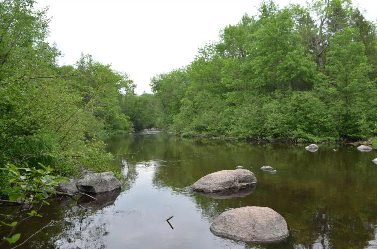Unique hunting/fishing/recreational/investment/buildable property Marathon County WI