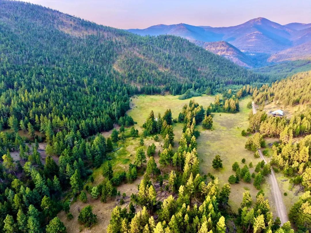 Wooded and Wild Wolf Creek Canyon