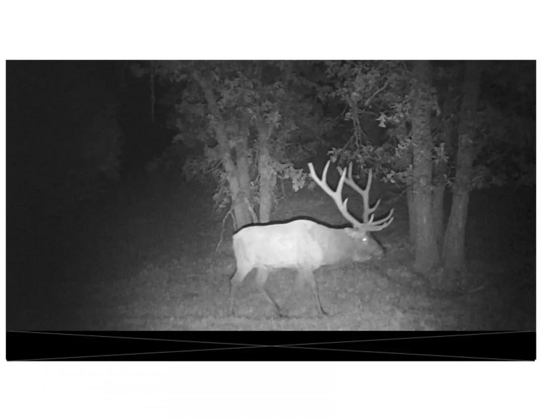 *** PENDING *****WY Black Hills Hunter's Paradise