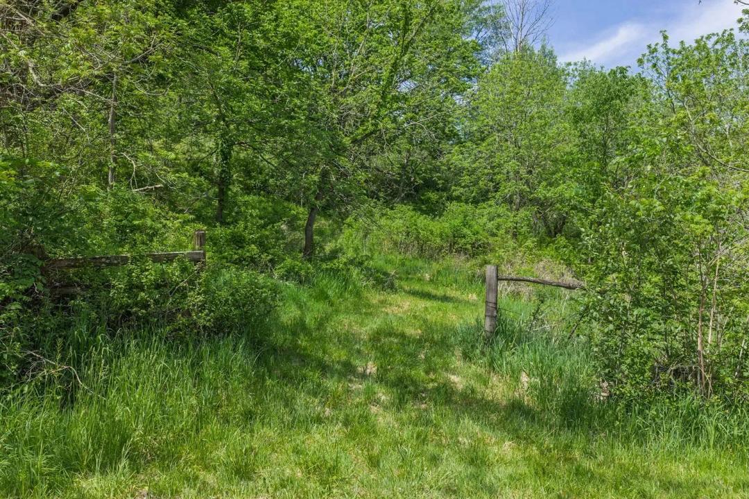 8± Acres with Spring & Cabin Site in Richland County, WI | Driftless Region Recreational Land for Sale