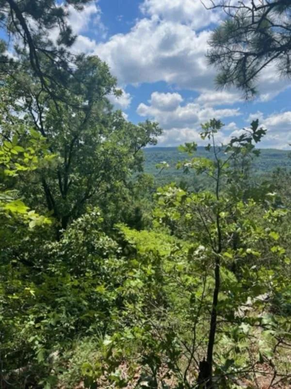 44.00 Acres at TBD Red Barn Antique Road