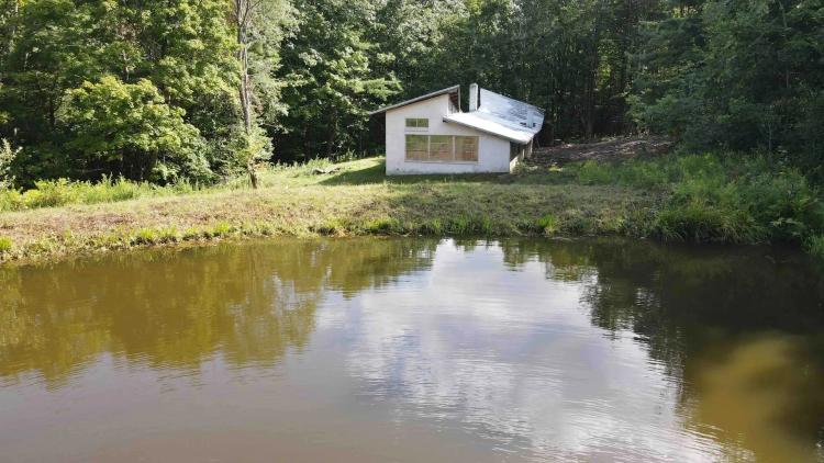 38 acres with Cabin and Pond in Rensselaerville NY 50 Frieda's Hill Lane