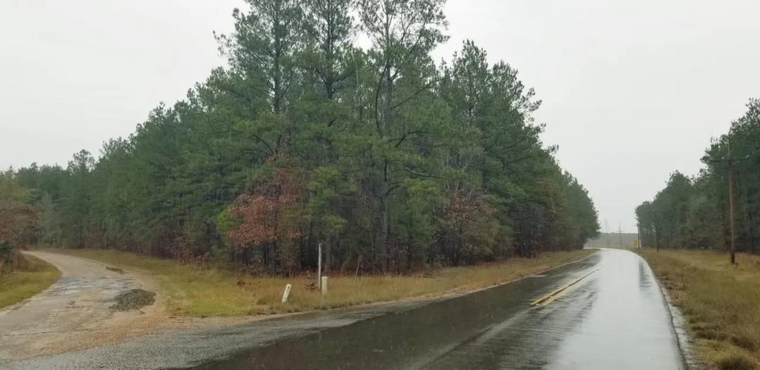 Victory Cutoff Triangle Timber Tract, LaSalle Parish, 35.76 Acres