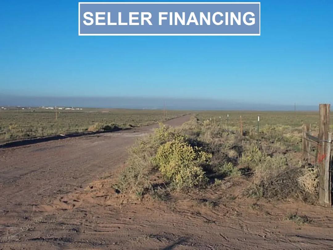 Arizona, Navajo County, 1.25 Acres Arizona Rancho