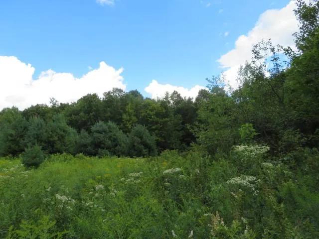 SOUTHERN TUG HILL PLATEAU