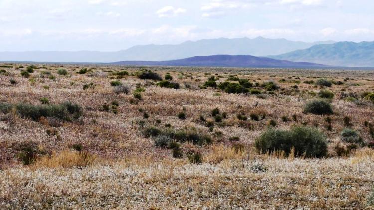 40 acres West of Lovelock Nevada - Scenic and Seclusion