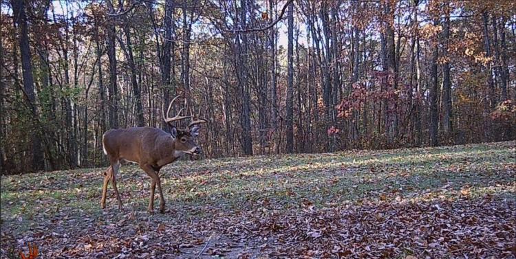 Hunting Farm Bordering Waterloo &amp; Zaleski Wildlife Area