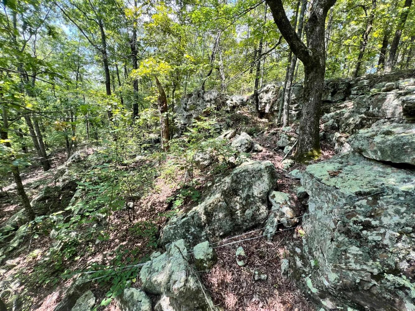 51774651-10
