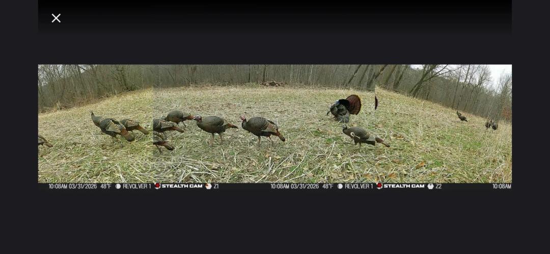 47± Acre Hunting Property with Cabin | Vernon County, Wisconsin