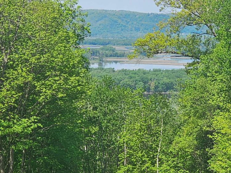 3.5 Acre Blufftop River View Retreat