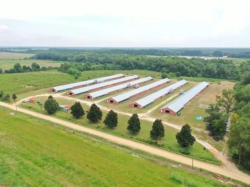Lake Frankie Broiler Farm – Six House Farm in Geneva County, Alabama