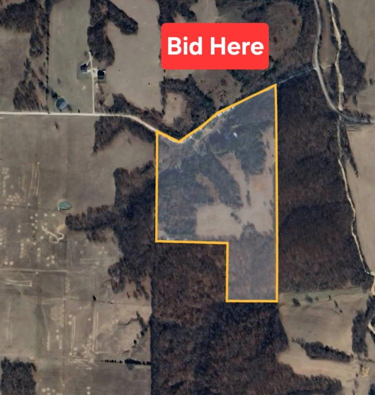 Beautiful 55 Acres In Rogersville Schools
