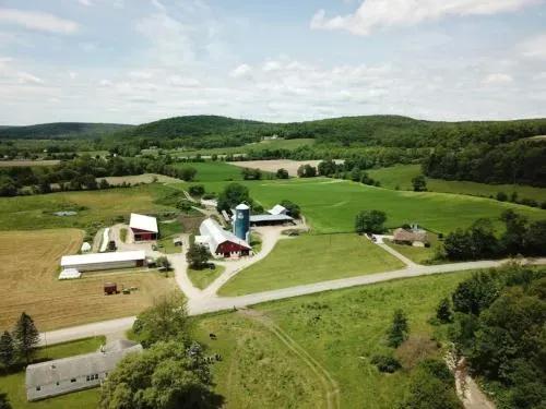 545 acres Profitable Working Dairy Farm NY