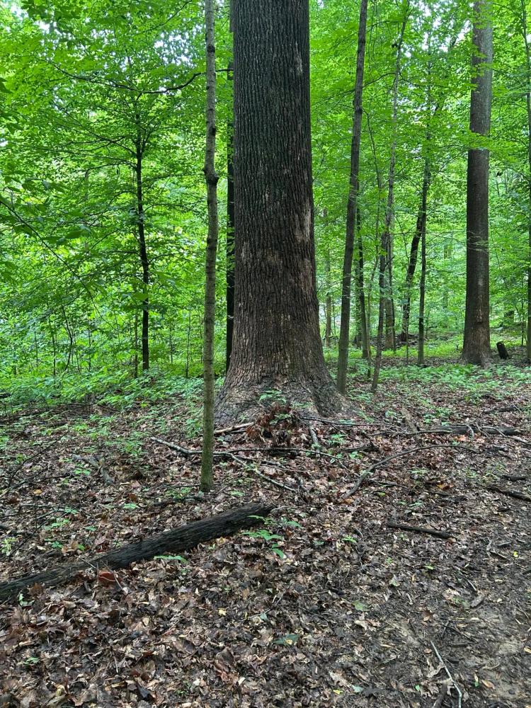 2 Acres in Reelsville Indiana