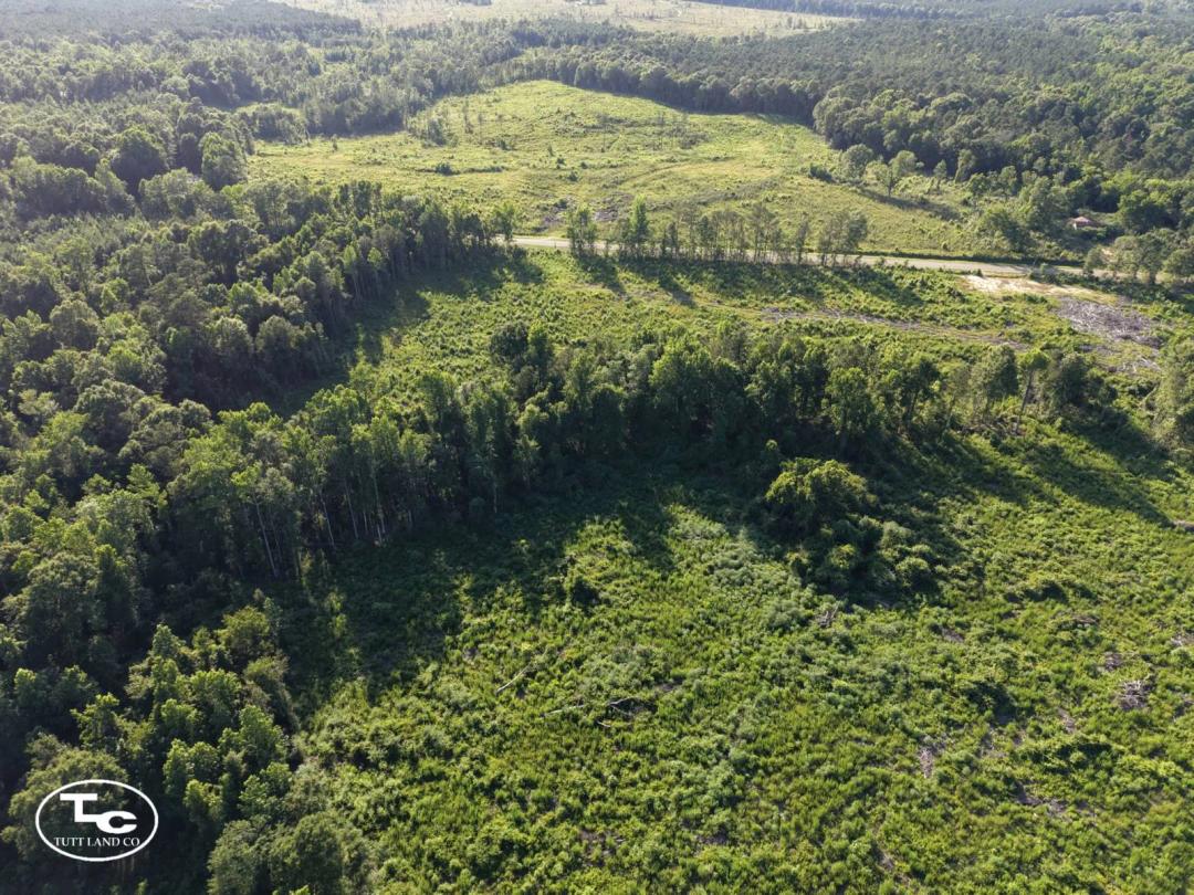 29+/- Acres - Land Opportunity in Wilcox County