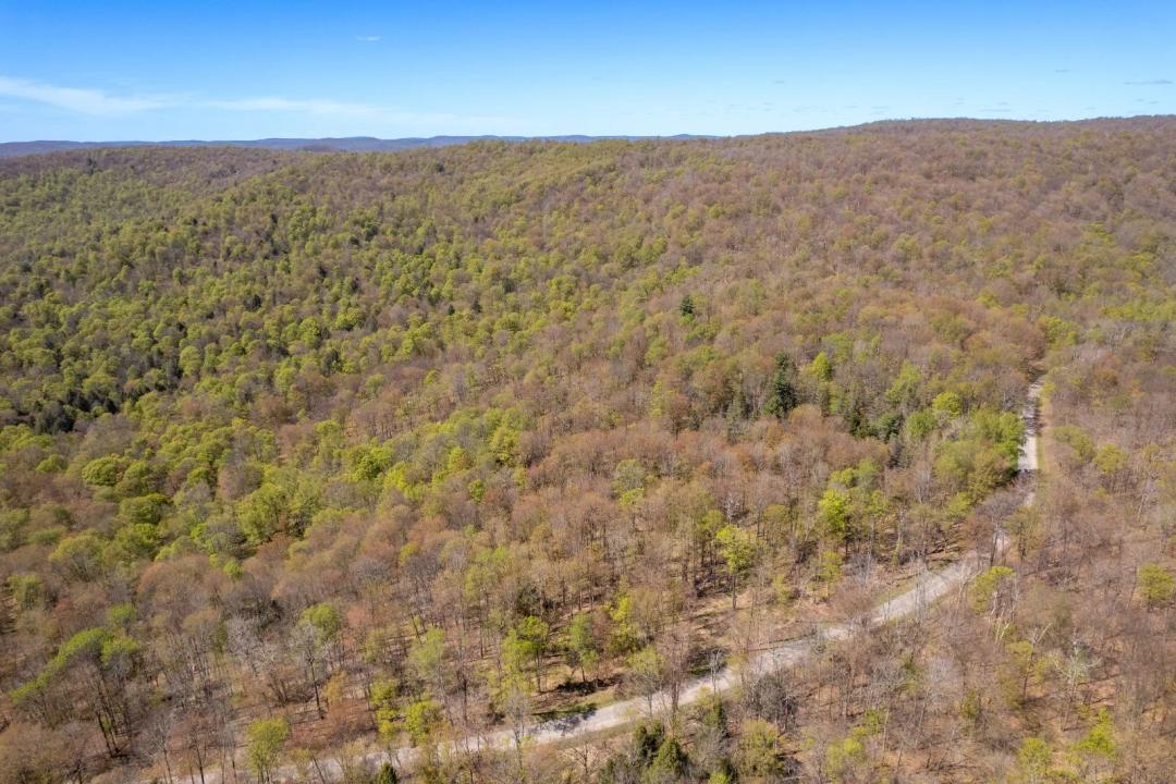 36+ Gorgeous Acres on a Quiet Road!