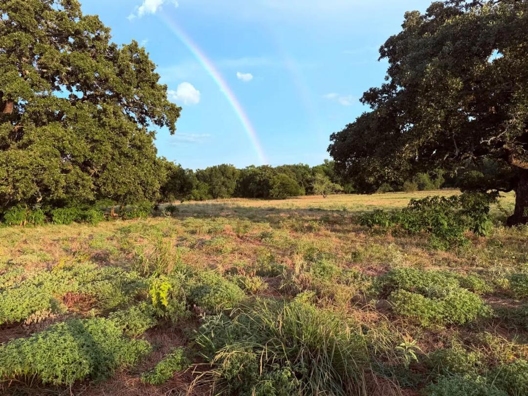 Renfro Creek Ranch