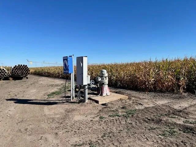 52036997-11