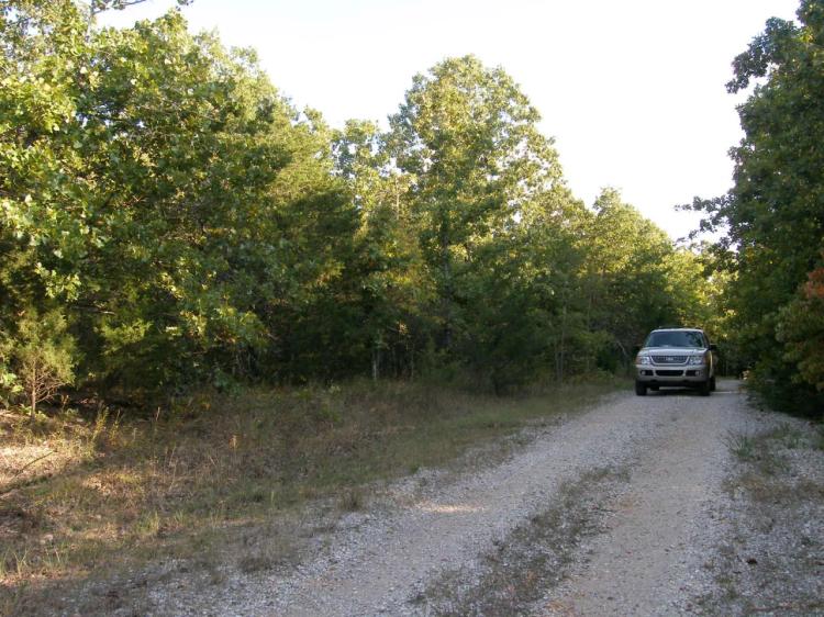 Trees * Utilities at road *  Lot in Cherokee Village