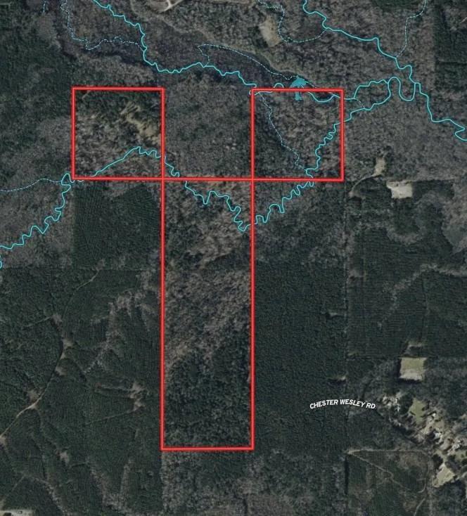 200 ACRES+/- JACKSON PARISH, LA