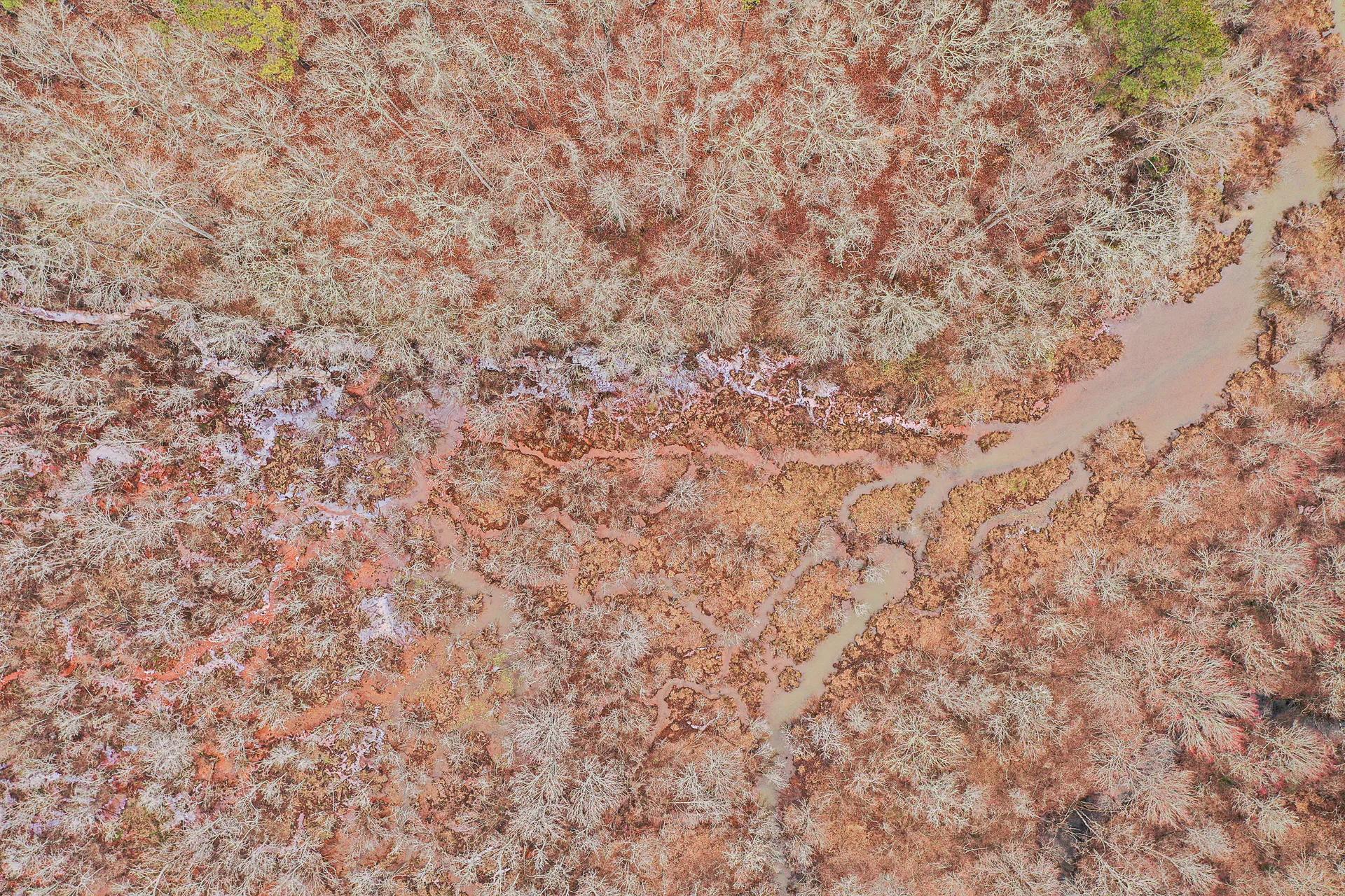 52088123-13