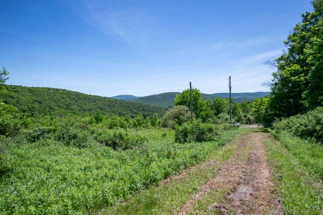 Secluded land with a view, pond, SEPTIC and WELL