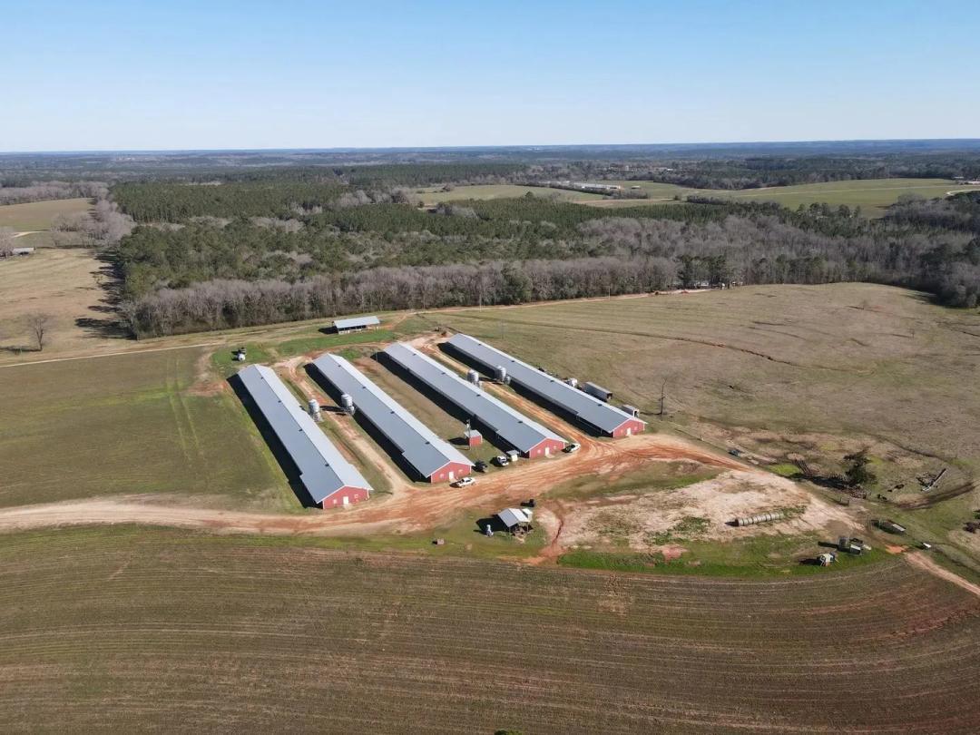 Buck Creek Breeder Farm
