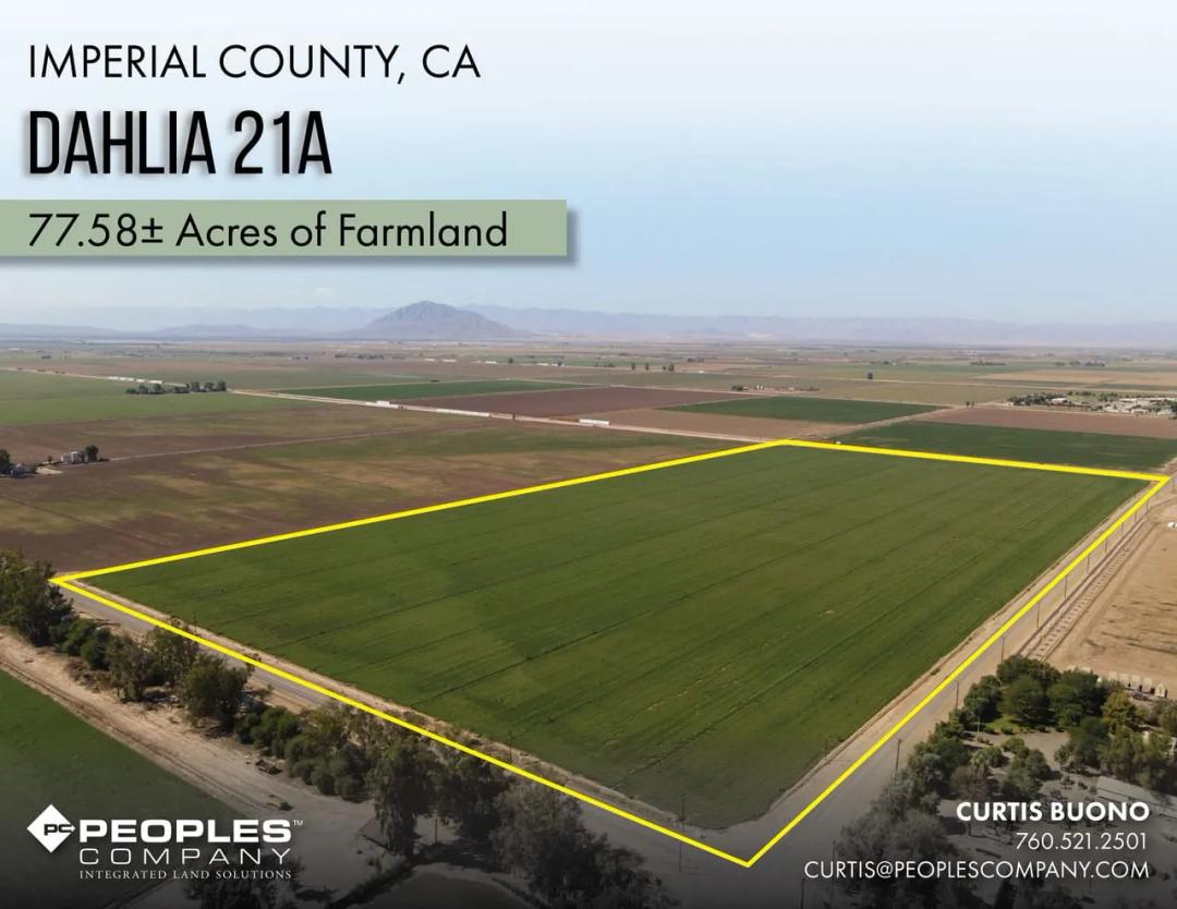 Listing #19863 - 77.58 acres in Imperial County, CA