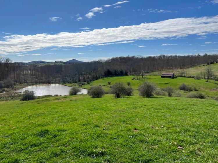 116.00 Acres at 0 Vago Rd Frankford, WV 24938