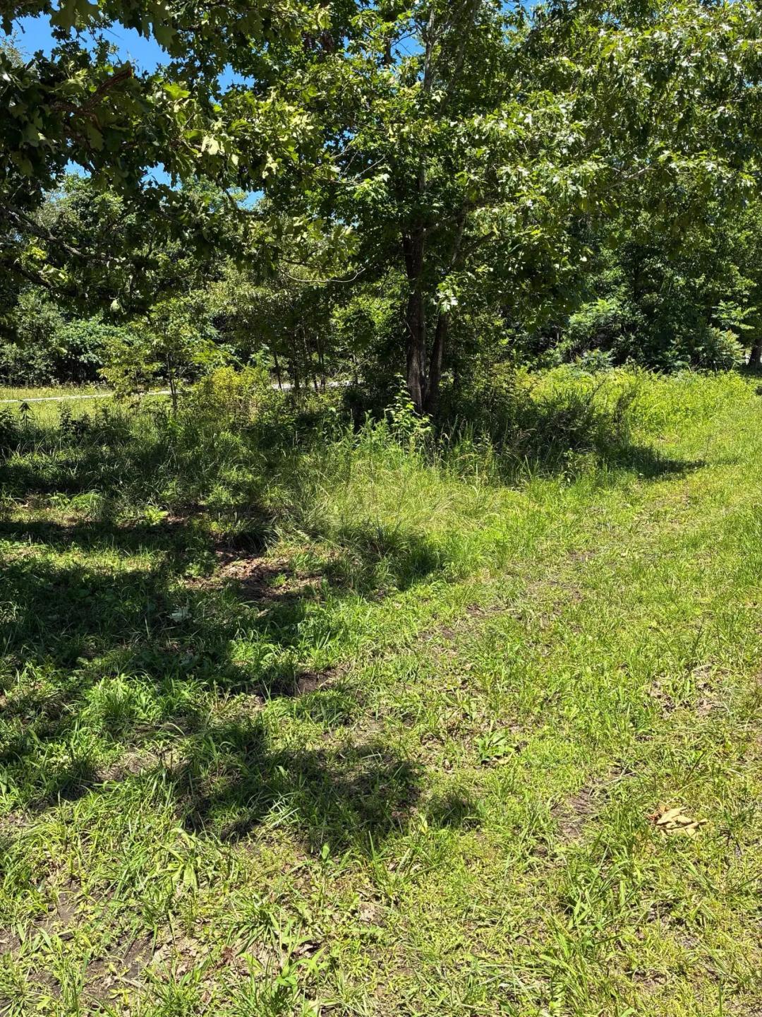 Affordable 0.16+/- AC Lot in Carter Co. 