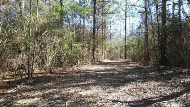 16 Acres in Copiah County in Wesson, MS