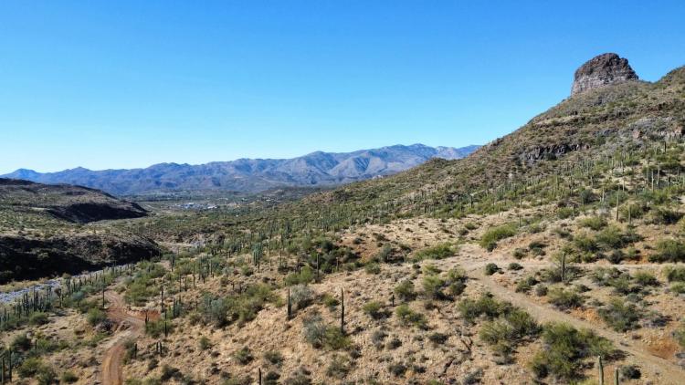 Oro Peak Ranch