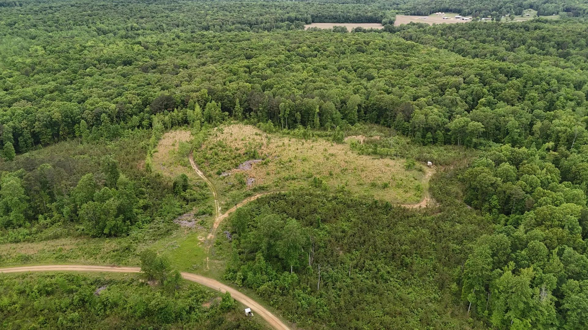 52282521-11