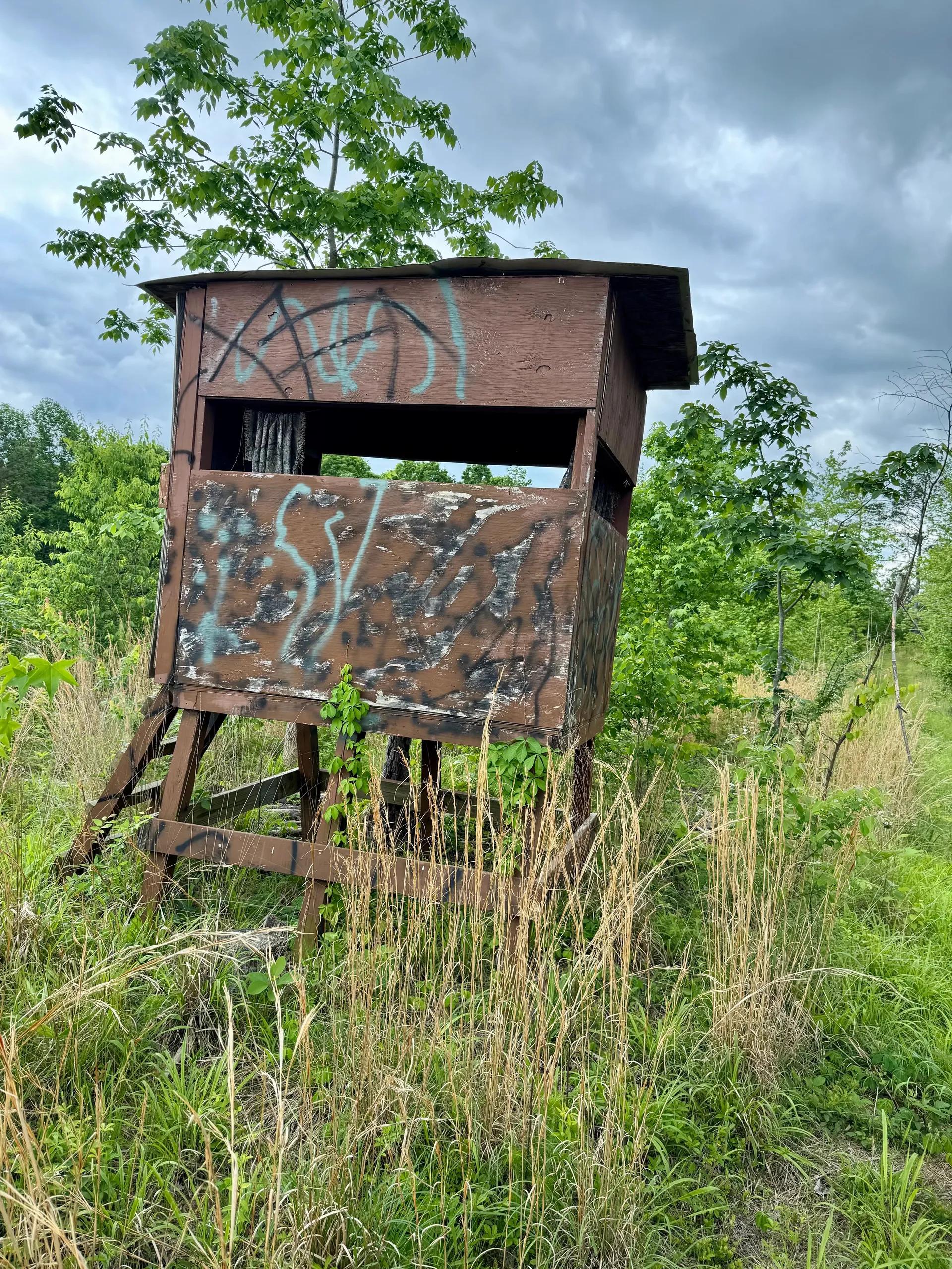 52282521-24