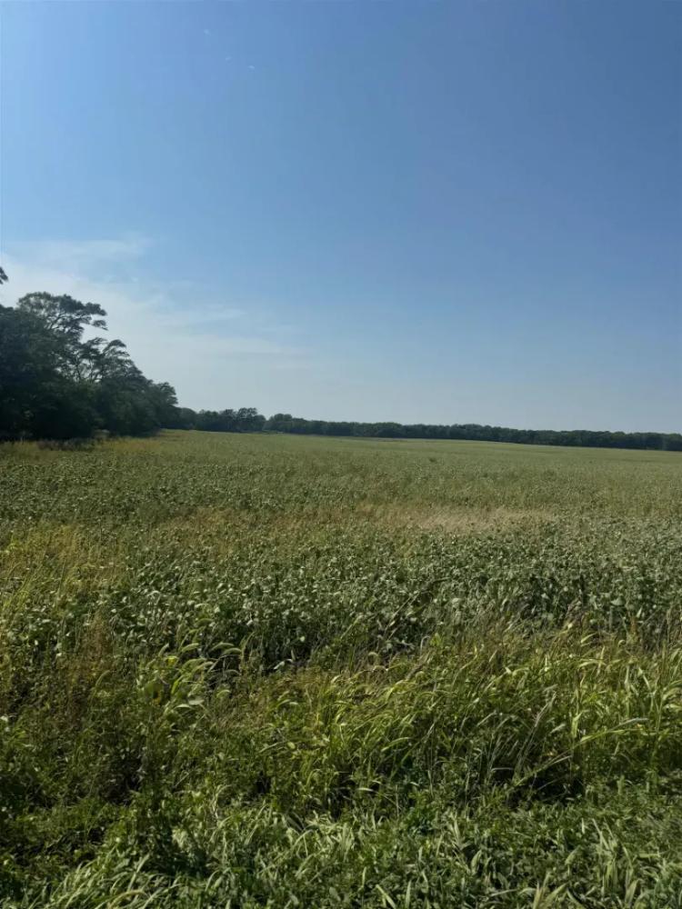 1075 CLOUD RD GLASCO, KS 67445