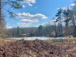 Turkey Creek Lots Pic 1