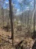 Turkey Creek Lots Pic 6