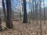 Turkey Creek Lots Pic 7