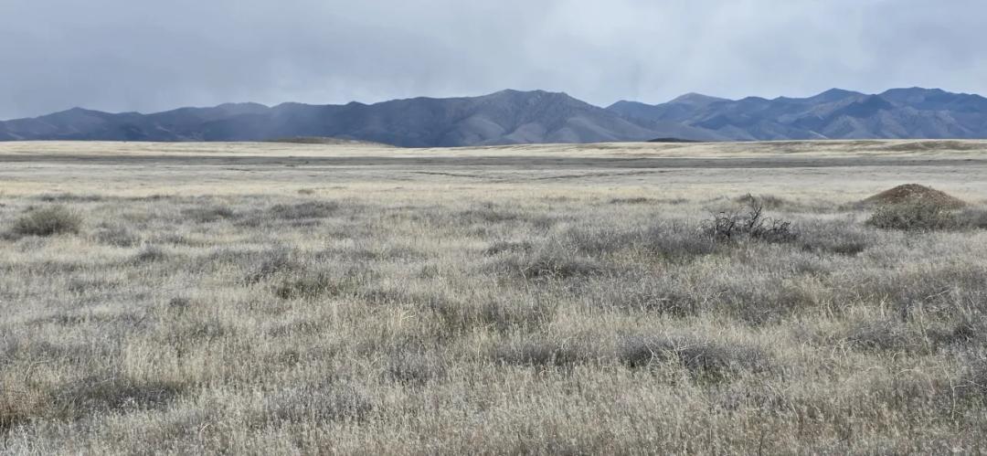 Mountain Views just East of IH80 South of Mill City Nevada Animals allowed