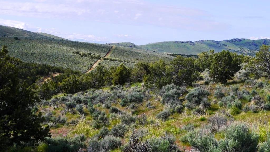 Rolling Hills with Trees - Secluded - Nevada land for sale