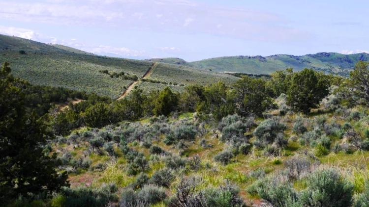 Rolling Hills with Trees - Secluded - Nevada land for sale