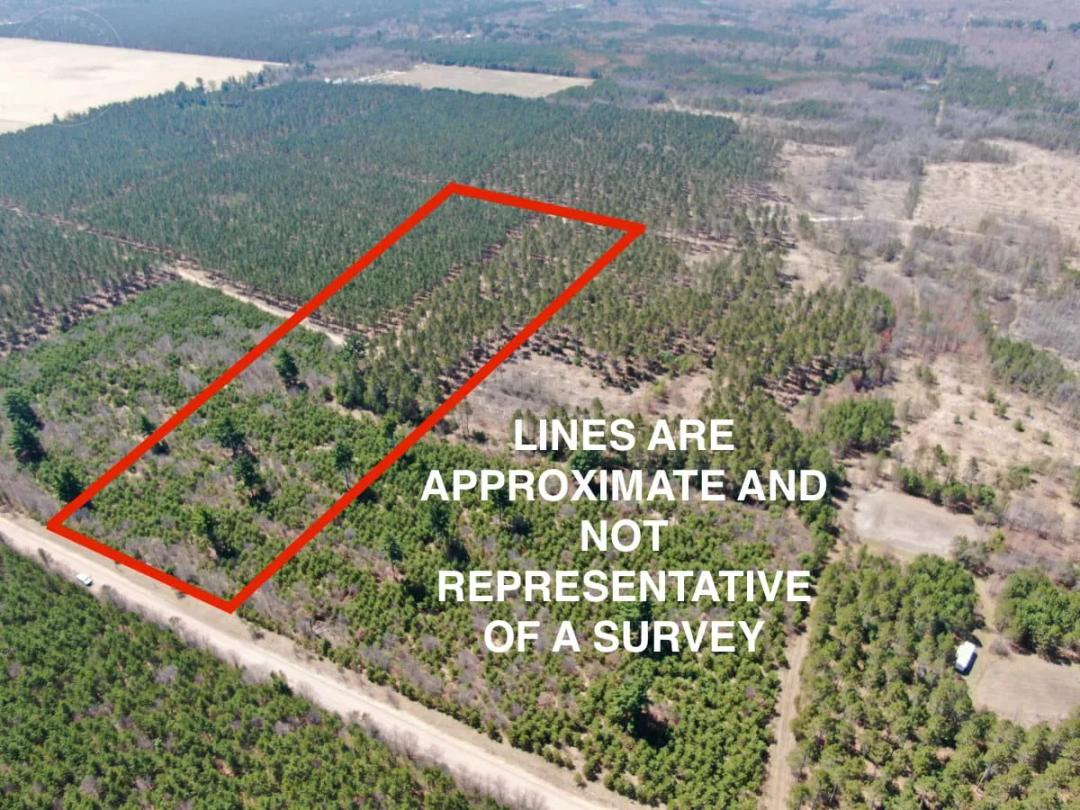 Town of Big Flats 22.354 acre timber lot for sale in Adams County WI
