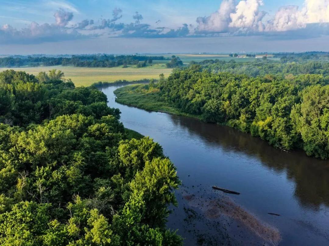 Listing #19559 - 95.80 acres in Greene County, IA