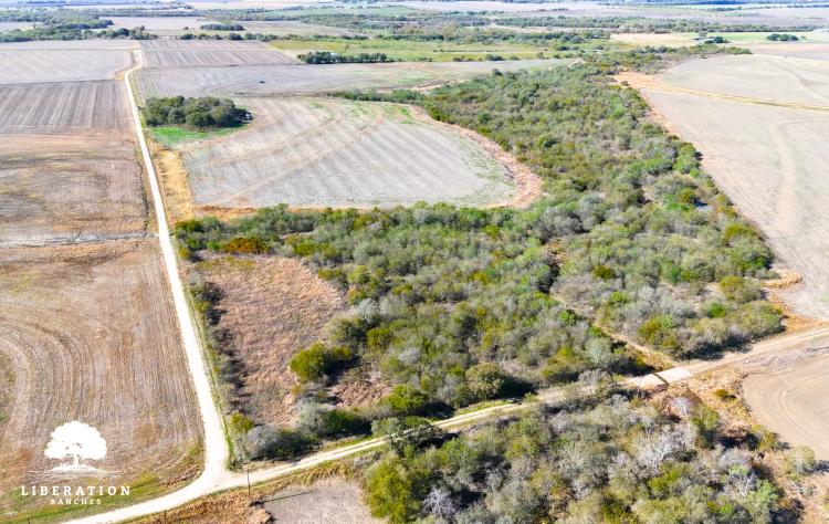 Itasca Tract 2 | 11+ Acres | Only $15K Down
