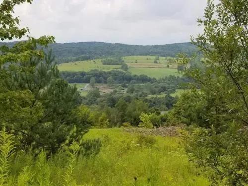 5 acres Building Lot in Berkshire NY